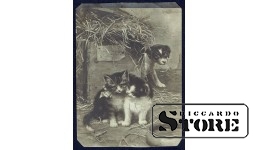 Vintage postcard happy birthday to the woman Kittens and a cunning puppy