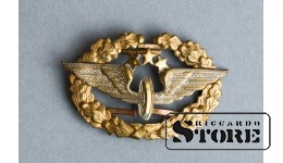 Значок военно-воздушных сил
