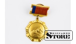 Medal for victory in youth competitions, 1st place