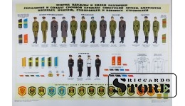 Плакат "Форма одежды и знаки различия сержантов советской армии" 1972 г. 92х61 см CSP104