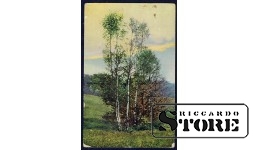 Vintage postcard from the times of Ulmanis Birch on the edge