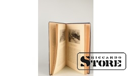 Книга, А.Ростиславовь, А.П. Рябушкинь жизнь и творчество