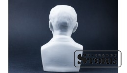 Статуэтка , Бюст "Райнис , Бисквит , Рига, Рижская фарфоровая фабрика , 13 cm