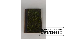 Книга, Янис Яунсудрабиньш, Цветы ветра, История Расмы, 1931 г.