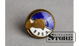 Кнопка "RBSS"