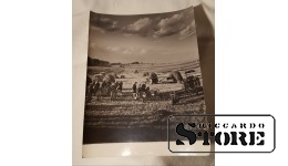 Фото В. Гайлиса 30×24 см. Сельское хозяйство. Уборка урожая. Сельхозтехника. Советская Латвия
