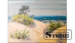 Живопись, Летние дюны, 34.5x47.5cm CSA1058