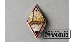 Значок "Отличник народного просвящения", ЛССР