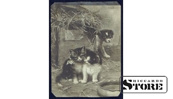 Vintage postcard happy birthday to the woman Kittens and a cunning puppy