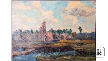 Живопись, Болота, 35x48cm CSA1061