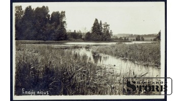 Коллекционная открытка Заросший пруд