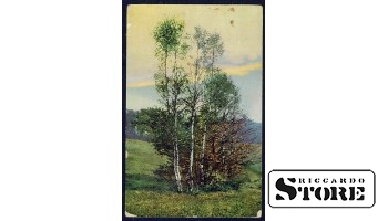 Vintage postcard from the times of Ulmanis Birch on the edge