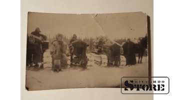 Северные народы заготавливают лес.