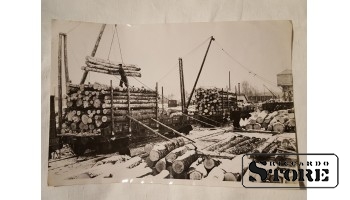 Фото В. Гайлиса 28×19 см. Даудзевский лесоповальный пункт Екабпилского лесокомбината краны приводятся в движение от узкоколейной железной дороги. Подпись автора.
