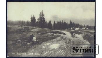 Vintage Estonian postcard "After the Thunderstorm"