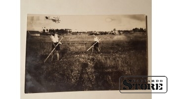 Заготовка сена. Довоенная Латвия
