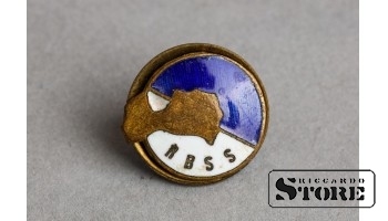 Кнопка "RBSS"