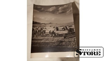 Фото В. Гайлиса 30×24 см. Сельское хозяйство. Уборка урожая. Сельхозтехника. Советская Латвия