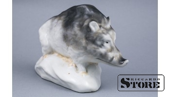 Boar